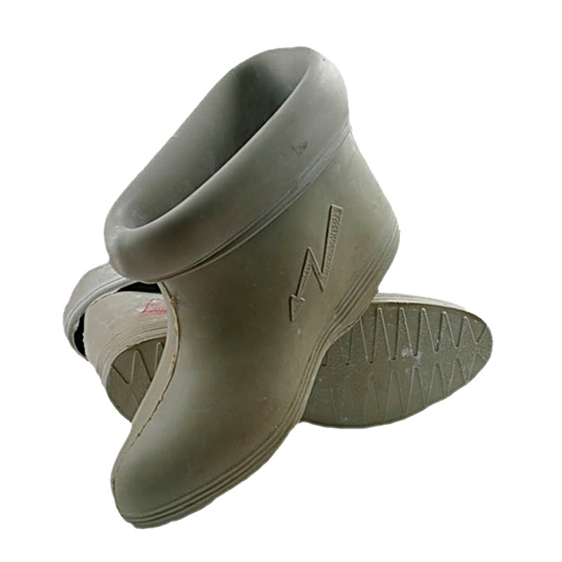 ���� ���������������