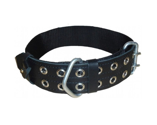 ���� ���������