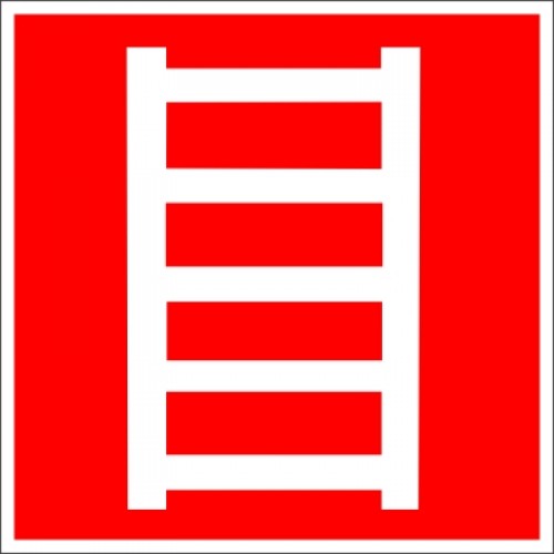 ���� �������� ��������